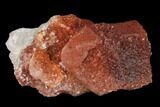 Natural, Red Quartz Crystal Cluster - Morocco #142921-1